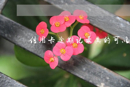 信用卡逾期记录真的可以消除 信用卡逾期记录真的可以消除