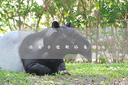 信用卡逾期记录移出 信用卡逾期记录移出
