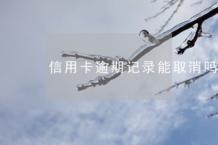 信用卡逾期记录能取消吗 信用卡逾期记录能取消吗