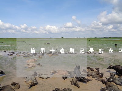 信用卡逾期记录能在网上消除吗