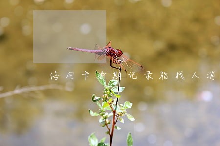 信用卡逾期记录能找人消除吗