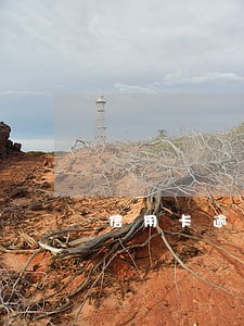 信用卡逾期记录能撤回吗 信用卡逾期记录能撤回吗