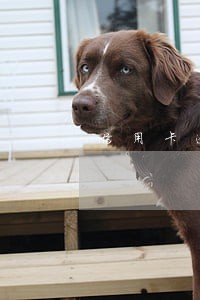 信用卡逾期记录要几年后消除 信用卡逾期记录要几年后消除