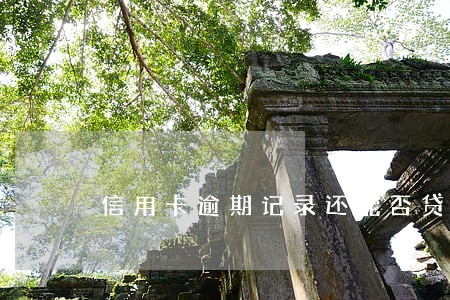 信用卡逾期记录还能否贷款 信用卡逾期记录还能否贷款