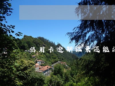 信用卡逾期记录还能消除吗 信用卡逾期记录还能消除吗