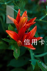 信用卡逾期记录销卡了