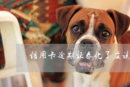 信用卡逾期证券化了应该怎样还款 信用卡逾期证券化了应该怎样还款