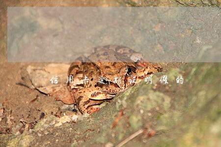 信用卡逾期证明假的 信用卡逾期证明假的
