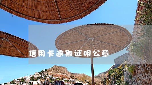 信用卡逾期证明公章 信用卡逾期证明公章