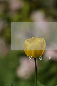 信用卡逾期证明图 信用卡逾期证明图