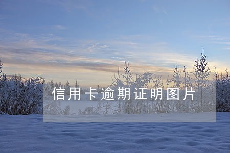 信用卡逾期证明图片 信用卡逾期证明图片