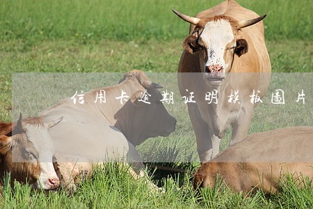 信用卡逾期证明模板图片 信用卡逾期证明模板图片