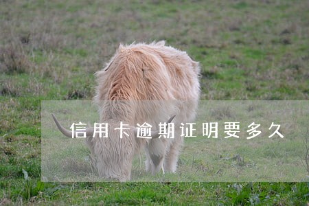 信用卡逾期证明要多久 信用卡逾期证明要多久