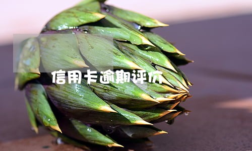 信用卡逾期评价 信用卡逾期评价