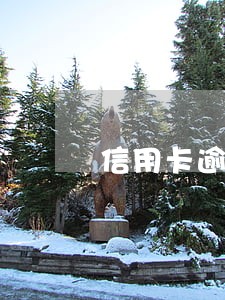 信用卡逾期评分不足