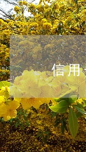 信用卡逾期诈骗信息 信用卡逾期诈骗信息