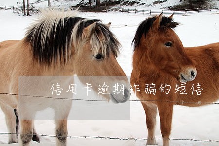 信用卡逾期诈骗的短信 信用卡逾期诈骗的短信