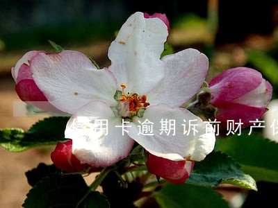 信用卡逾期诉前财产保全函件 信用卡逾期诉前财产保全函件