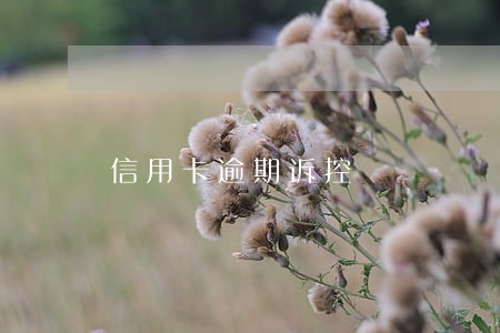 信用卡逾期诉控 信用卡逾期诉控