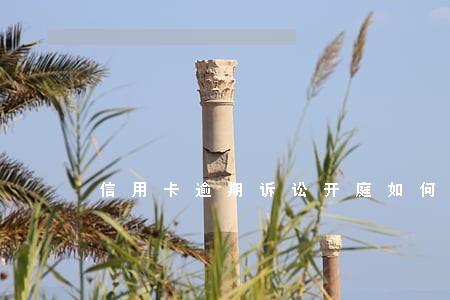 信用卡逾期诉讼开庭如何辩解 信用卡逾期诉讼开庭如何辩解