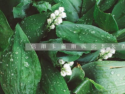 信用卡逾期诉讼怎么查询