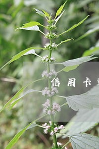 信用卡逾期诉讼撤销 信用卡逾期诉讼撤销