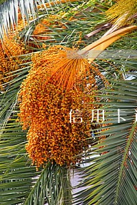 信用卡逾期诉讼时效期 信用卡逾期诉讼时效期