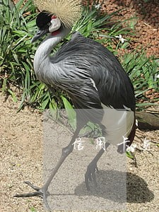 信用卡逾期诉讼费多少钱 信用卡逾期诉讼费多少钱