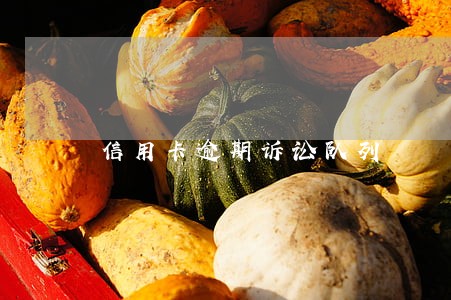 信用卡逾期诉讼队列