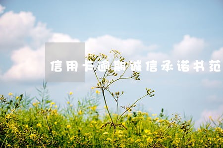 信用卡逾期诚信承诺书范文 信用卡逾期诚信承诺书范文
