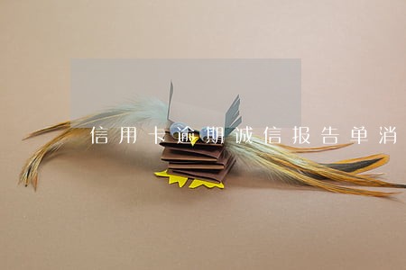 信用卡逾期诚信报告单消除期限 信用卡逾期诚信报告单消除期限