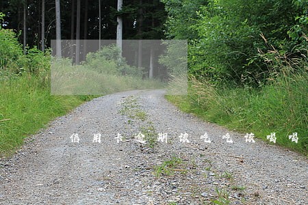 信用卡逾期该吃吃该喝喝 信用卡逾期该吃吃该喝喝