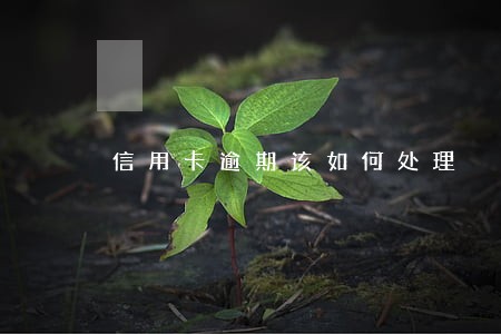 信用卡逾期该如何处理