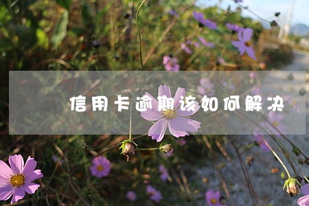 信用卡逾期该如何解决