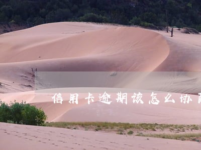 信用卡逾期该怎么协商 信用卡逾期该怎么协商