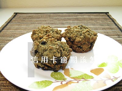 信用卡逾期该怎么正确说 信用卡逾期该怎么正确说