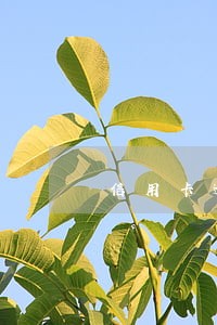 信用卡逾期该怎么规划还款 信用卡逾期该怎么规划还款