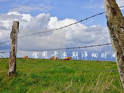 信用卡逾期详细时间