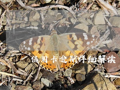 信用卡逾期详细解读
