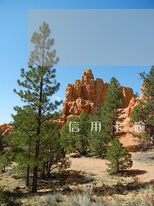 信用卡逾期详细记录查询 信用卡逾期详细记录查询