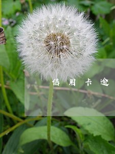 信用卡逾期详细讲解 信用卡逾期详细讲解