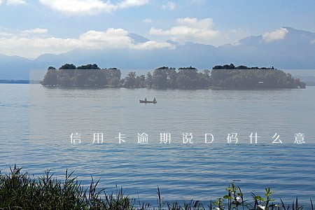 信用卡逾期说D码什么意思