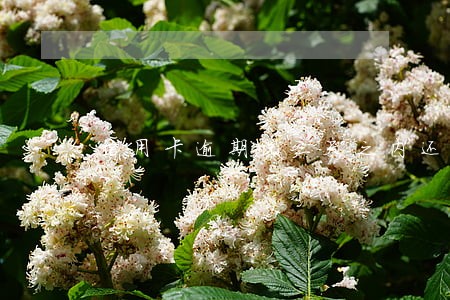 信用卡逾期说三天之内还完 信用卡逾期说三天之内还完