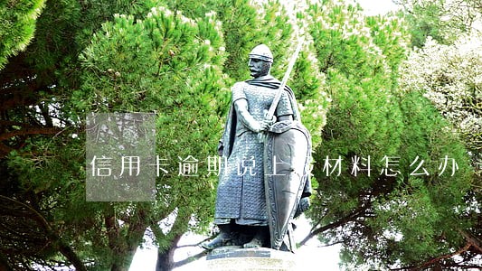 信用卡逾期说上报材料怎么办 信用卡逾期说上报材料怎么办