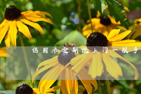 信用卡逾期说上门一般多久 信用卡逾期说上门一般多久