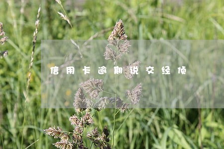 信用卡逾期说交经侦 信用卡逾期说交经侦