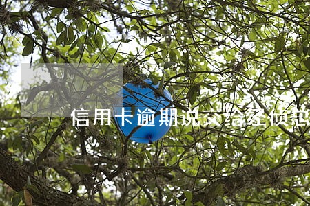 信用卡逾期说交给经侦总队 信用卡逾期说交给经侦总队