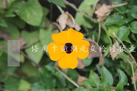 信用卡逾期说交给经侦是真的吗 信用卡逾期说交给经侦是真的吗