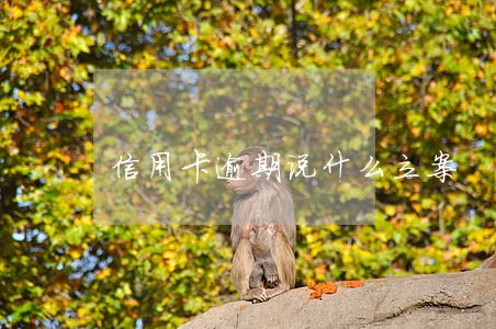 信用卡逾期说什么立案 信用卡逾期说什么立案