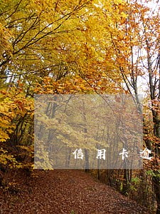 信用卡逾期说会上门 信用卡逾期说会上门